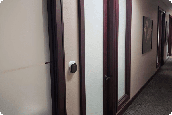 Privacy film for glass doors in an office hallway